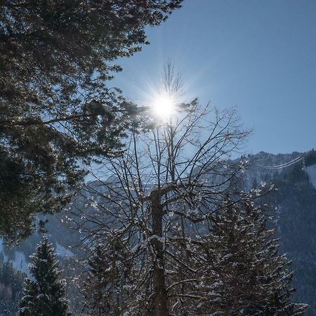 Villa Volgger Mayrhofen Εξωτερικό φωτογραφία